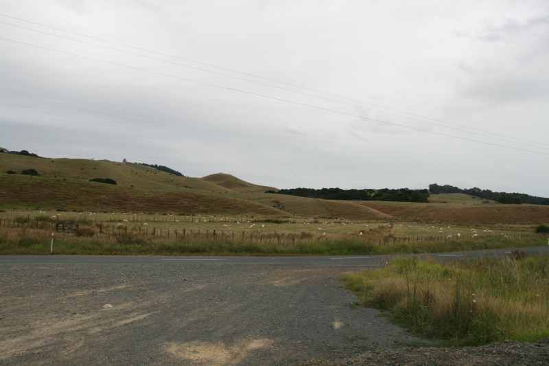 Nieuw-Zeeland 2011 - 0420